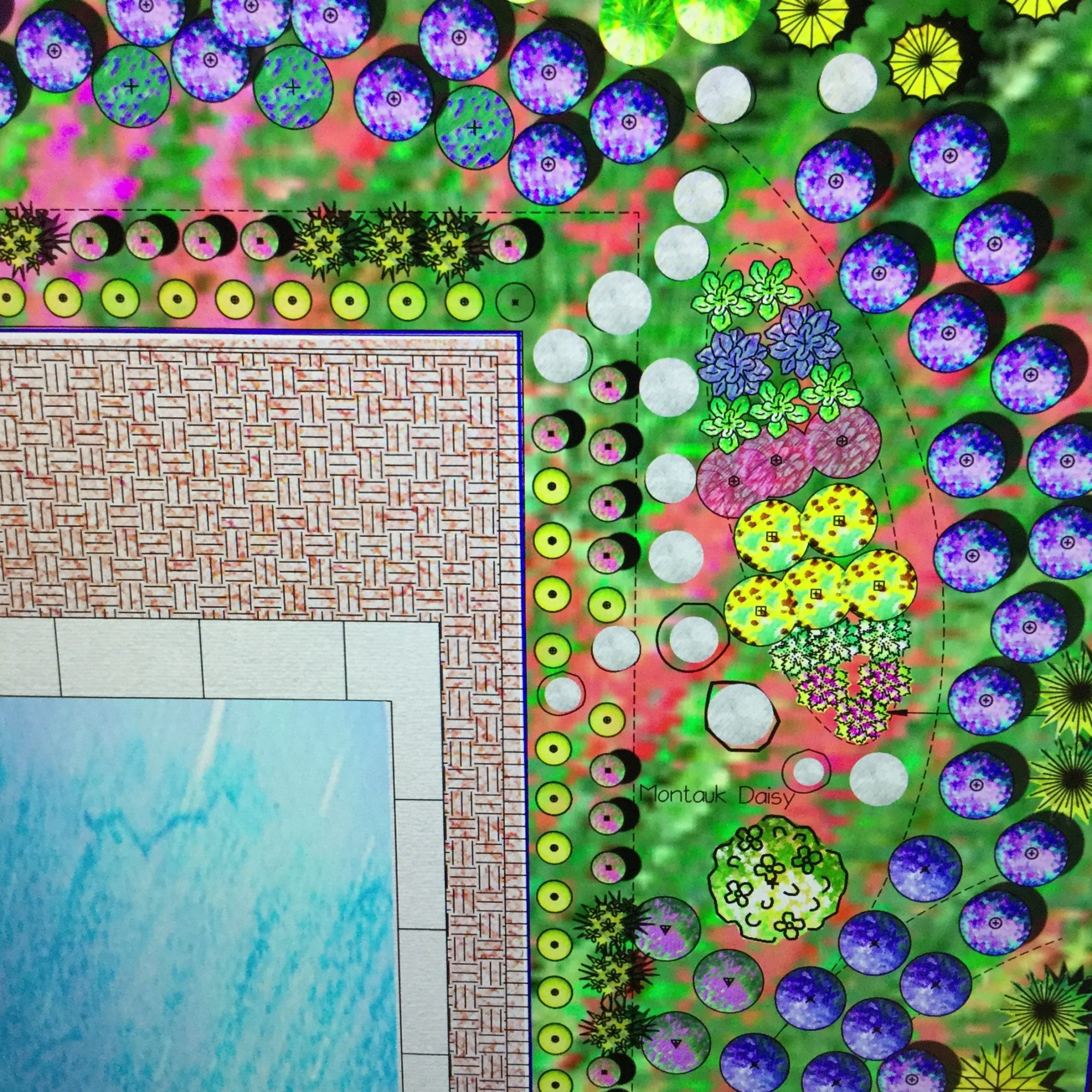 landscape bloom colors pool meadow garden